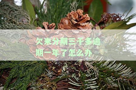 来分期还有三百块一年没还的逾期情况及影响分析