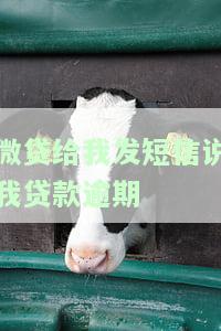 微贷网给我发短信要仲裁是否真实？