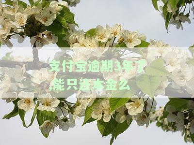 支付宝逾期了三年会坐牢吗，怎么办？