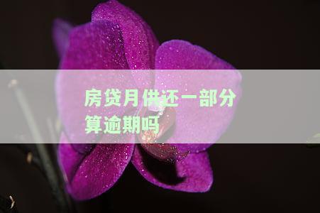 房贷月供还一部分算逾期吗，怎么办？长度不能大于70个字节