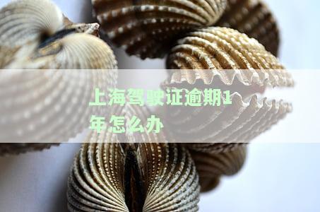 上海驾照逾期未换证罚款多少？