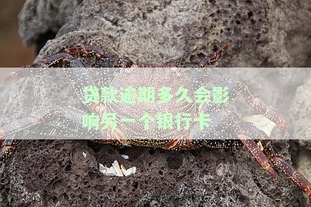 贷款逾期多久会被银行起诉