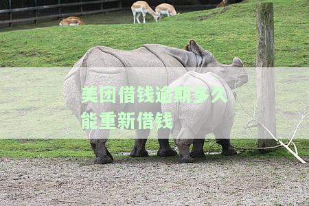 美团借钱逾期多久能重新借款？怎么办？
