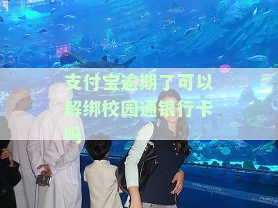 支付宝逾期了可以解绑校园通银行卡吗