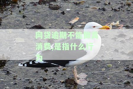 网贷逾期不能做高消费,是指什么行为