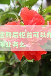 逾期后柜台可以办理业务么