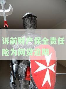 诉前财产保全担保保险收费标准及风险
