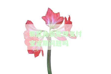 银监会对支付宝的规定：最新新规定