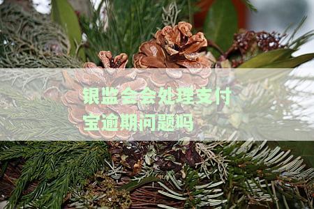 银监会管不管支付宝账户、收款及账号？