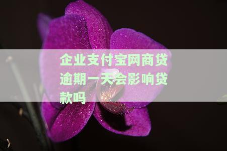 企业支付宝网商贷逾期一天会影响贷款吗知乎探讨影响与征信情况