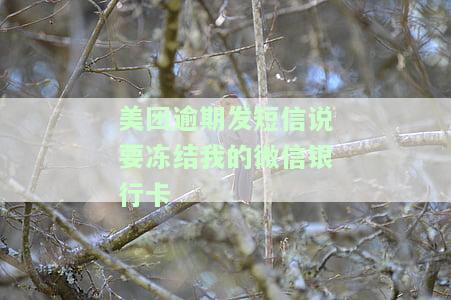美团逾期发短信冻结财产账号，应怎么办？