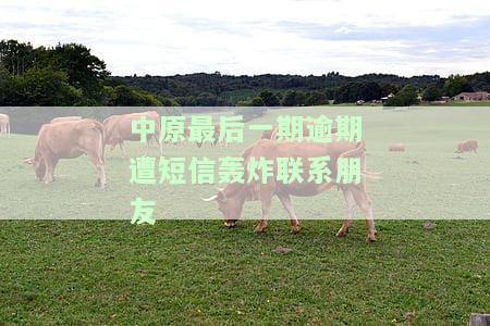中原逾期会给单位打电话吗，联系人逾期几天会被中原逾期会联系？
