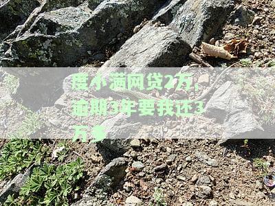 度小满网贷2万,逾期3年要我还3万多
