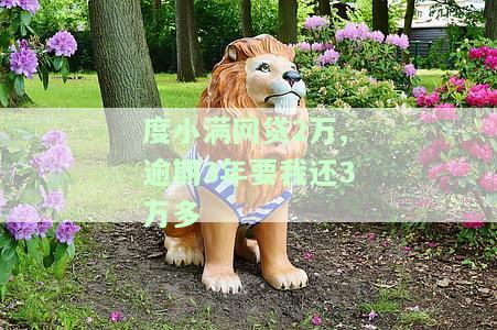 度小满网贷2万,逾期3年要我还3万多