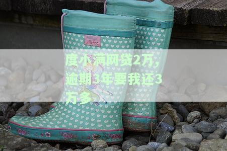 度小满网贷2万,逾期3年要我还3万多