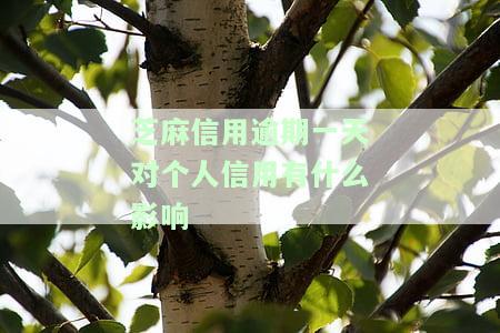 芝麻信用逾期了100多天，还能贷款吗？逾期一次，多久能恢复？