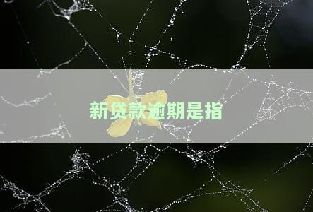 新贷款逾期是指什么意思，新发放的个贷案件在贷款发放后的前，新发生逾期贷款