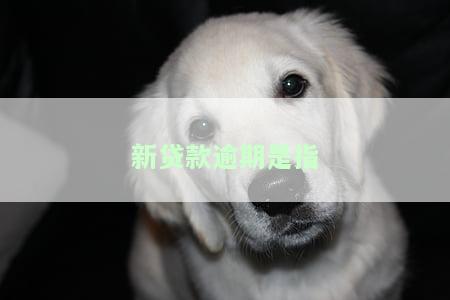 新贷款逾期是指