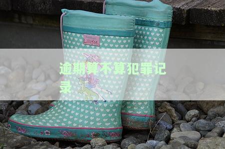 逾期算不算犯罪记录证据