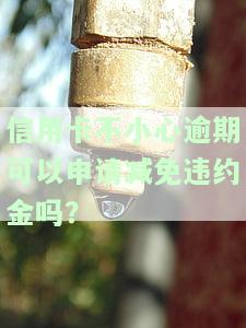 信用卡不小心逾期可以申请减免违约金吗安全吗？