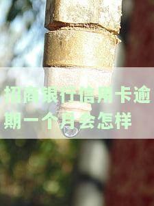招商银行信用卡逾期一个月怎样协商还款及期还款
