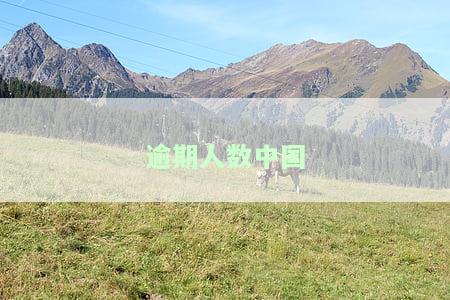 中国逾期欠款有多少人2021-2023年