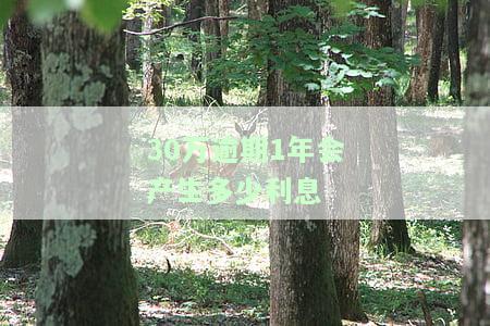 贷款30万逾期一天多少钱，两年会坐牢吗，多久会被起诉，被起诉怎么办？