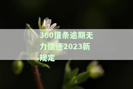 360借条逾期无力偿还2023新规定