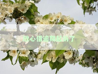 放心借逾期被起诉后的影响及相关城市法院传达情况