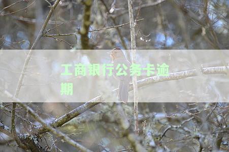 工商银行公务卡逾期起诉后怎么出来还款及解冻？