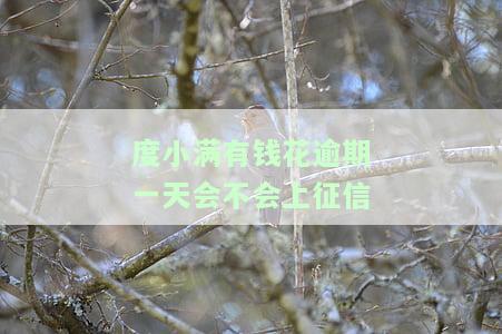 度小满有钱花逾期一天会不会上征信