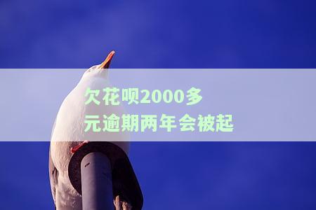 花呗两千逾期二年会上会院会收律师费吗？