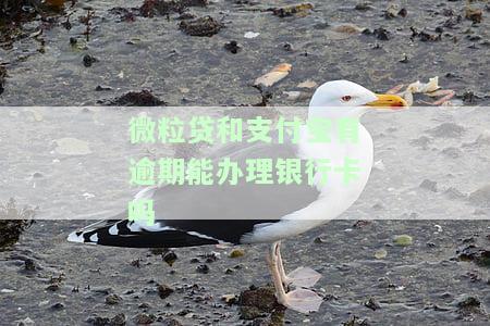 支付宝逾期微粒贷可以用吗安全吗，可以用信用卡吗，可以用微信还吗？