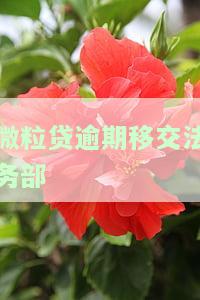 微粒贷逾期移交法务部处理