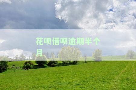 花呗借呗逾期半个月还完了会影响贷款吗及应对措？