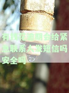 有钱花逾期3天紧急联系人威胁短信，违法吗？