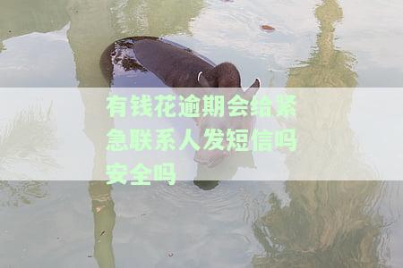 有钱花逾期几天会给紧急联系人打电话