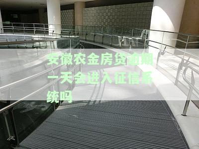 安徽农金房贷逾期一天会进入征信系统吗