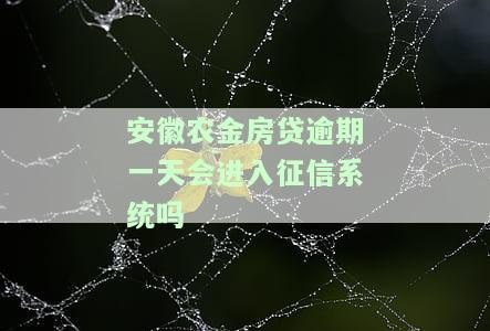 安徽农金房贷逾期一天上征信及影响