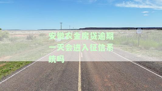 安徽农金贷款逾期后的影响及是否能继续贷款