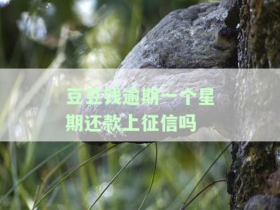 豆豆钱逾期10天还了，但是他们说完全部还