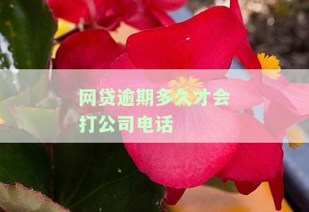 网贷逾期多久会打电话到公司上班
