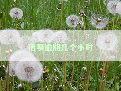 借呗逾期几个小时还了之后影响征信吗？