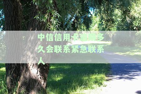 中信信用卡逾期怎么协商解决及还款影响