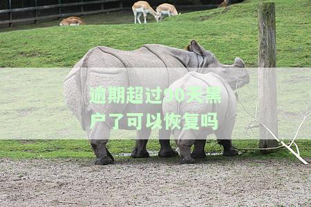 逾期超过90天黑户了可以恢复吗怎么办