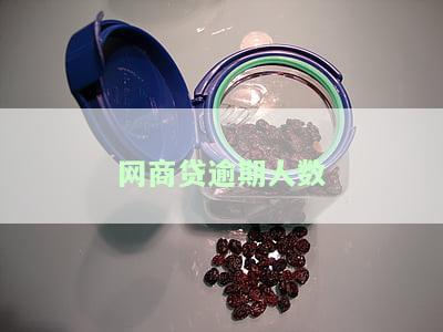 网商贷逾期多久上征信后果有多严重支付宝？