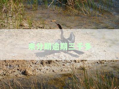 ‘来分期逾期3天会上征信吗’