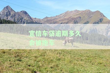 宜信车贷能宽限几天？