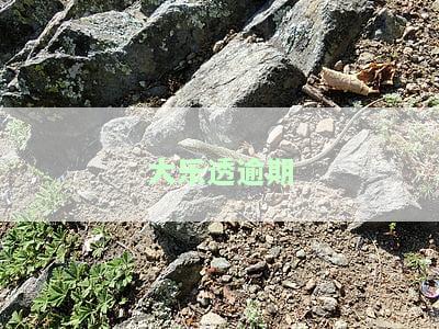 大乐透彩票过期处理及注意事