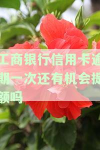 工商银行信用卡逾期一次还有机会提额吗